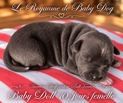 BABY DOLL