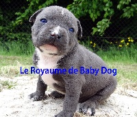 5 MALE 3B